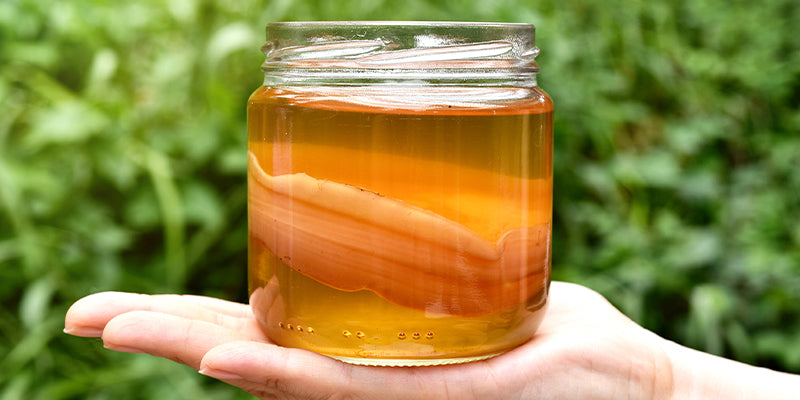 Gut Health Boosters: What are the benefits of Kombucha?