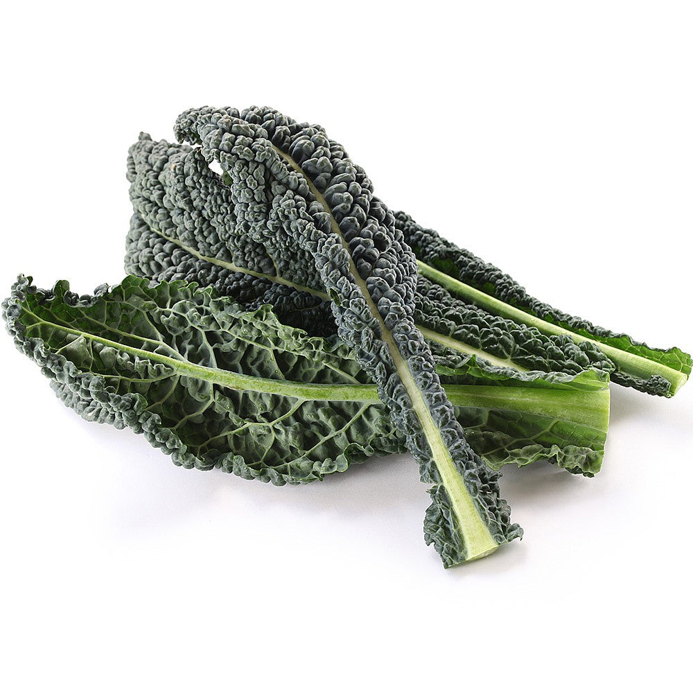 Cavolo Nero 